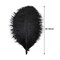 Natural Black Ostrich Feathers 12–14" (50 Pack) for Wedding & Party Décor